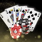 스네이크카지노 총판 코드 완벽 안내 블로그